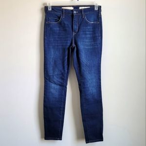 Anthropologie Pilcro and the Letterpress  High-Rise Skinny Jeans Size 29